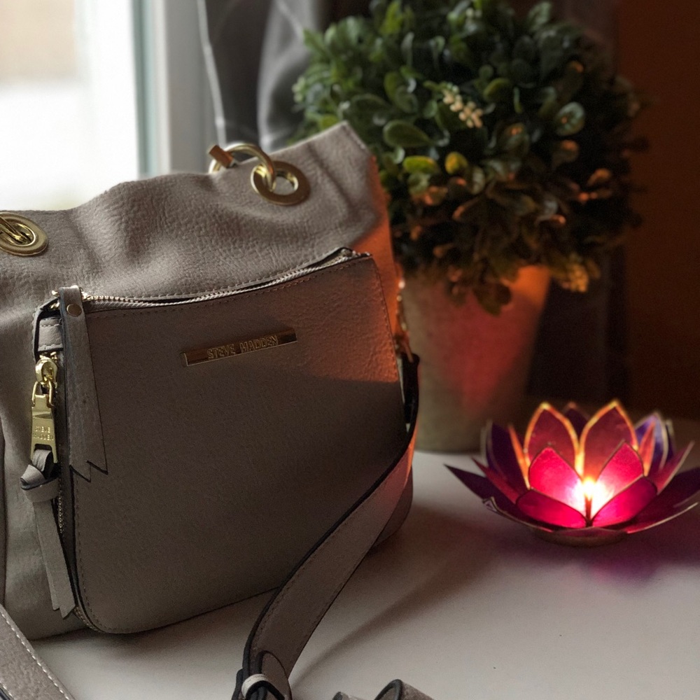 Steve Madden Purse